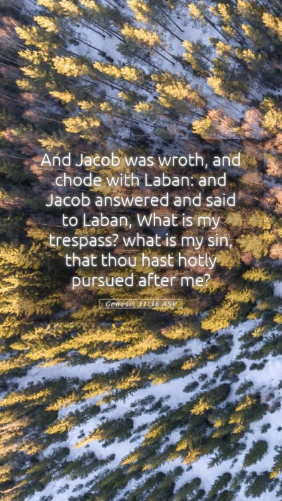 Picture 05 - Genesis 31:36 ASV Mobile Phone Wallpaper - And Jacob was wroth, and chode with Laban: and - Mobile Bible Verse Wallpaper