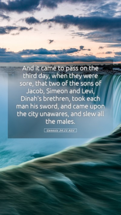 Picture 05 - Genesis 34:25 ASV Mobile Phone Wallpaper - And it came to pass on the third day, when they - Mobile Bible Verse Wallpaper