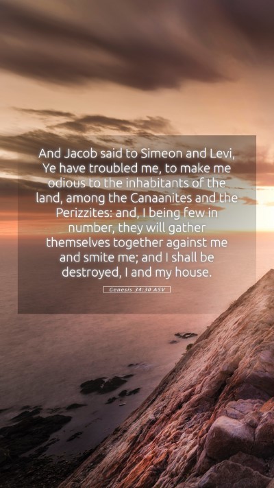 Picture 05 - Genesis 34:30 ASV Mobile Phone Wallpaper - And Jacob said to Simeon and Levi, Ye have - Mobile Bible Verse Wallpaper