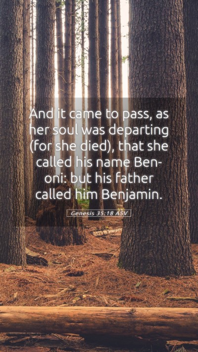 Picture 05 - Genesis 35:18 ASV Mobile Phone Wallpaper - And it came to pass, as her soul was departing - Mobile Bible Verse Wallpaper