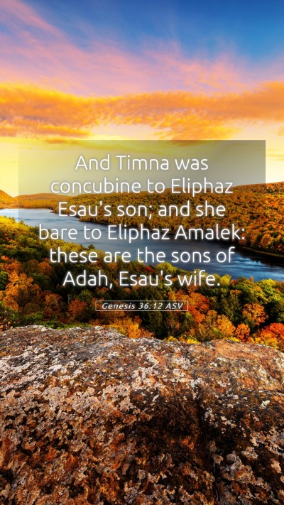 Picture 05 - Genesis 36:12 ASV Mobile Phone Wallpaper - And Timna was concubine to Eliphaz Esau's son; - Mobile Bible Verse Wallpaper