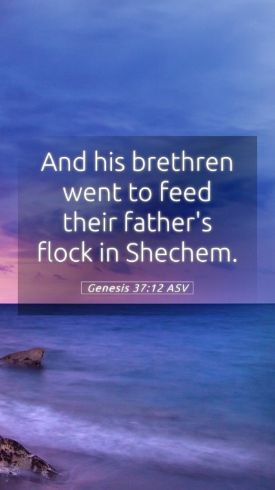 Picture 05 - Genesis 37:12 ASV Mobile Phone Wallpaper - And his brethren went to feed their father's - Mobile Bible Verse Wallpaper