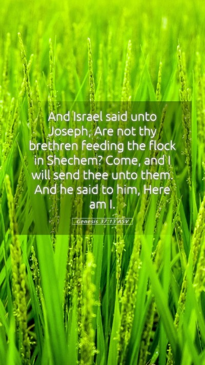 Picture 05 - Genesis 37:13 ASV Mobile Phone Wallpaper - And Israel said unto Joseph, Are not thy brethren - Mobile Bible Verse Wallpaper