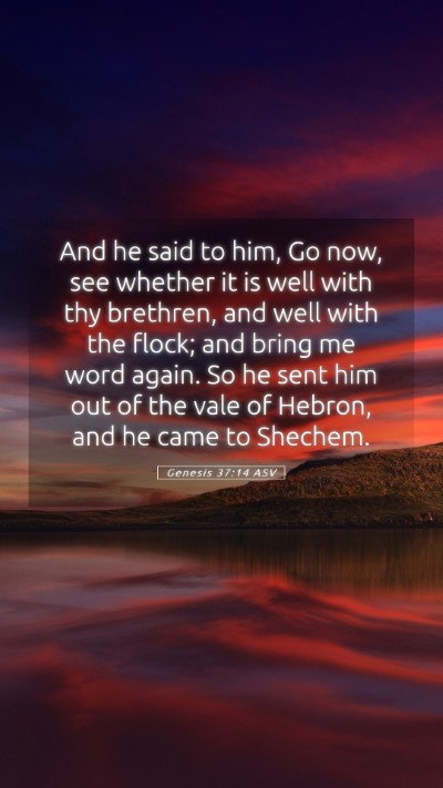 Picture 05 - Genesis 37:14 ASV Mobile Phone Wallpaper - And he said to him, Go now, see whether it is - Mobile Bible Verse Wallpaper