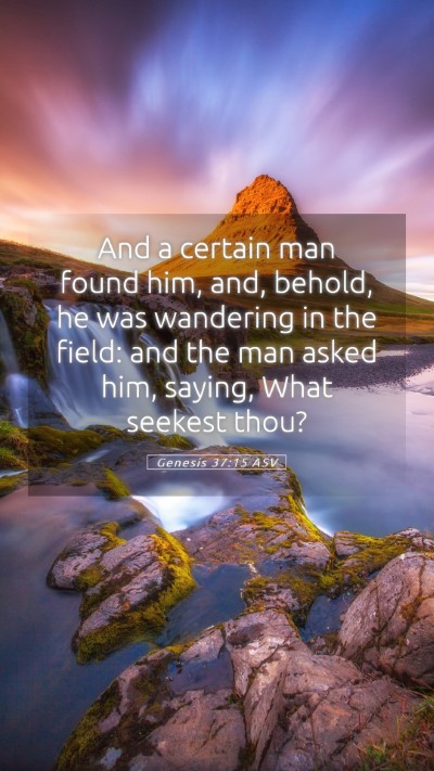 Picture 05 - Genesis 37:15 ASV Mobile Phone Wallpaper - And a certain man found him, and, behold, he was - Mobile Bible Verse Wallpaper