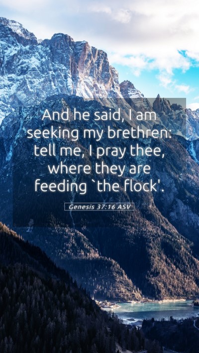 Picture 05 - Genesis 37:16 ASV Mobile Phone Wallpaper - And he said, I am seeking my brethren: tell me, I - Mobile Bible Verse Wallpaper