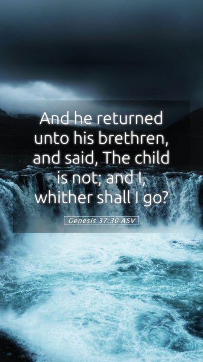 Picture 05 - Genesis 37:30 ASV Mobile Phone Wallpaper - And he returned unto his brethren, and said, The - Mobile Bible Verse Wallpaper
