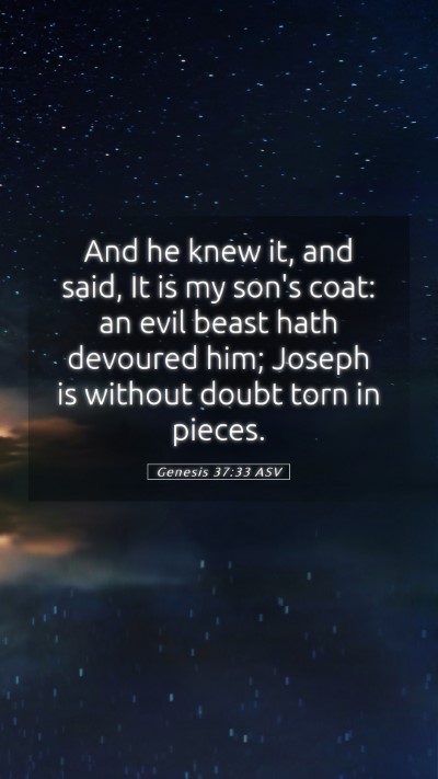 Picture 05 - Genesis 37:33 ASV Mobile Phone Wallpaper - And he knew it, and said, It is my son's coat: an - Mobile Bible Verse Wallpaper
