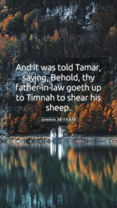 Picture 05 - Genesis 38:13 ASV Mobile Phone Wallpaper - And it was told Tamar, saying, Behold, thy - Mobile Bible Verse Wallpaper
