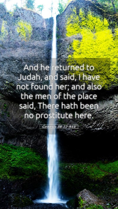 Picture 05 - Genesis 38:22 ASV Mobile Phone Wallpaper - And he returned to Judah, and said, I have not - Mobile Bible Verse Wallpaper