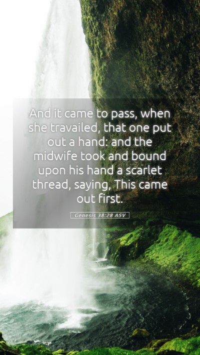 Picture 05 - Genesis 38:28 ASV Mobile Phone Wallpaper - And it came to pass, when she travailed, that one - Mobile Bible Verse Wallpaper