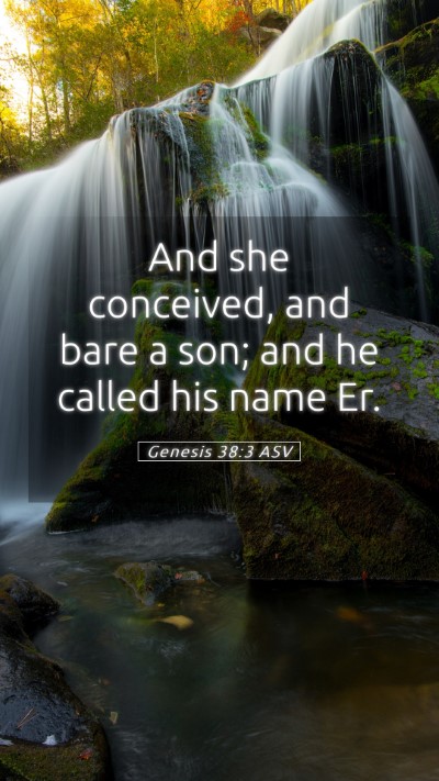 Picture 05 - Genesis 38:3 ASV Mobile Phone Wallpaper - And she conceived, and bare a son; and he called - Mobile Bible Verse Wallpaper