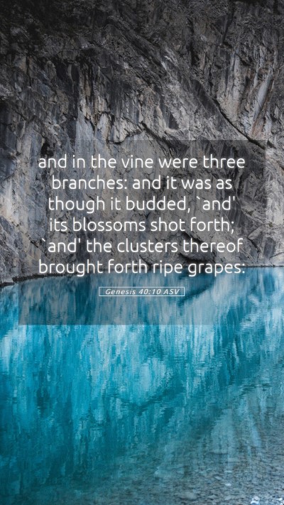 Picture 05 - Genesis 40:10 ASV Mobile Phone Wallpaper - and in the vine were three branches: and it was - Mobile Bible Verse Wallpaper