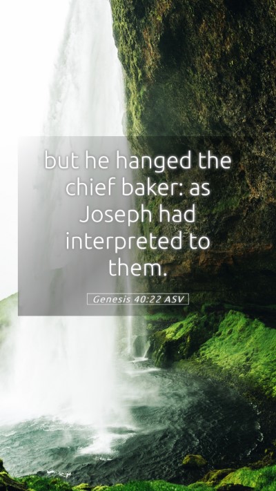 Picture 05 - Genesis 40:22 ASV Mobile Phone Wallpaper - but he hanged the chief baker: as Joseph had - Mobile Bible Verse Wallpaper