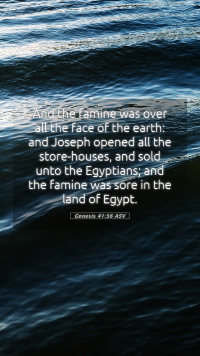 Picture 05 - Genesis 41:56 ASV Mobile Phone Wallpaper - And the famine was over all the face of the - Mobile Bible Verse Wallpaper