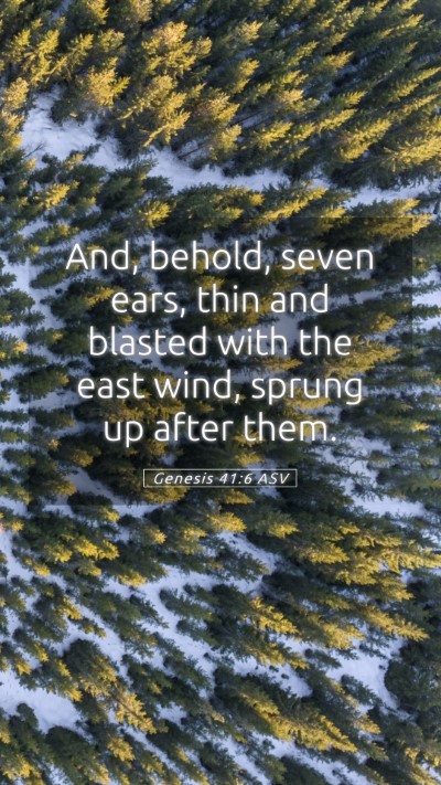 Picture 05 - Genesis 41:6 ASV Mobile Phone Wallpaper - And, behold, seven ears, thin and blasted with - Mobile Bible Verse Wallpaper