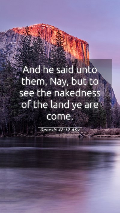 Picture 05 - Genesis 42:12 ASV Mobile Phone Wallpaper - And he said unto them, Nay, but to see the - Mobile Bible Verse Wallpaper