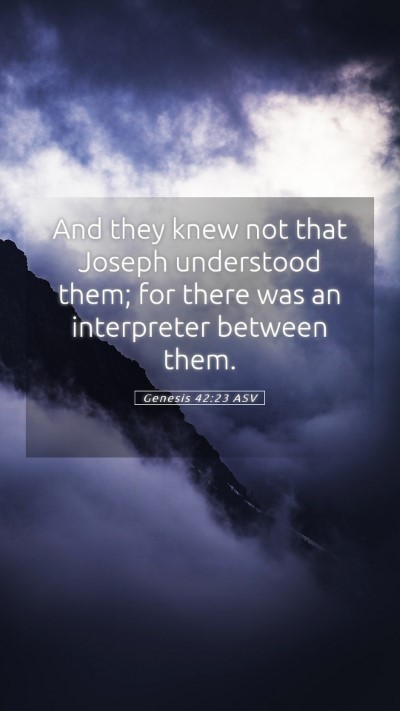 Picture 05 - Genesis 42:23 ASV Mobile Phone Wallpaper - And they knew not that Joseph understood them; - Mobile Bible Verse Wallpaper