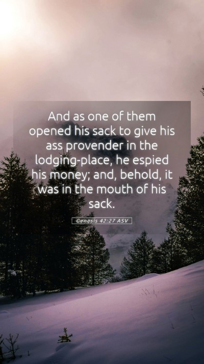 Picture 05 - Genesis 42:27 ASV Mobile Phone Wallpaper - And as one of them opened his sack to give his - Mobile Bible Verse Wallpaper