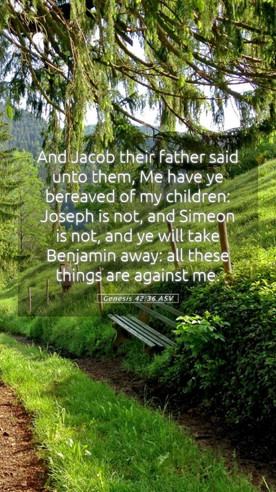 Picture 05 - Genesis 42:36 ASV Mobile Phone Wallpaper - And Jacob their father said unto them, Me have ye - Mobile Bible Verse Wallpaper