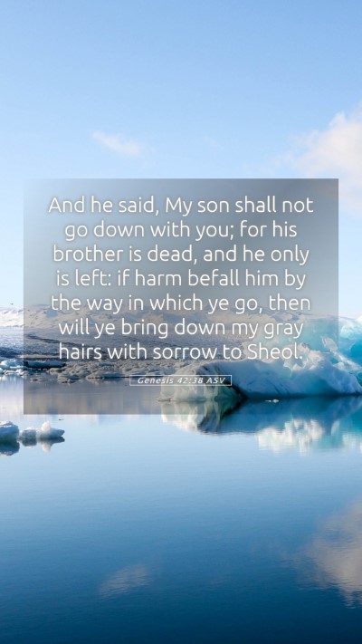 Picture 05 - Genesis 42:38 ASV Mobile Phone Wallpaper - And he said, My son shall not go down with you; - Mobile Bible Verse Wallpaper