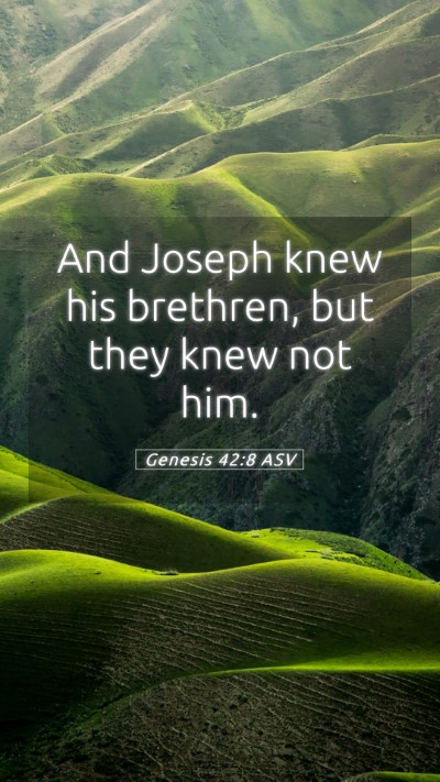 Picture 05 - Genesis 42:8 ASV Mobile Phone Wallpaper - And Joseph knew his brethren, but they knew not - Mobile Bible Verse Wallpaper