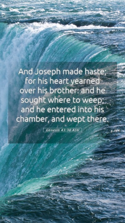 Picture 05 - Genesis 43:30 ASV Mobile Phone Wallpaper - And Joseph made haste; for his heart yearned over - Mobile Bible Verse Wallpaper