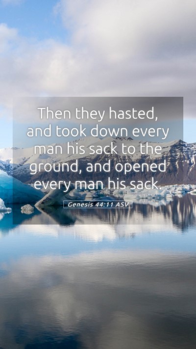 Picture 05 - Genesis 44:11 ASV Mobile Phone Wallpaper - Then they hasted, and took down every man his - Mobile Bible Verse Wallpaper