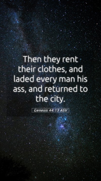 Picture 05 - Genesis 44:13 ASV Mobile Phone Wallpaper - Then they rent their clothes, and laded every man - Mobile Bible Verse Wallpaper