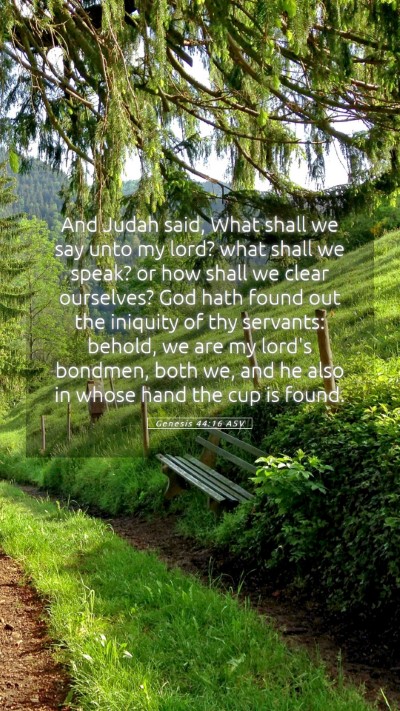 Picture 05 - Genesis 44:16 ASV Mobile Phone Wallpaper - And Judah said, What shall we say unto my lord? - Mobile Bible Verse Wallpaper