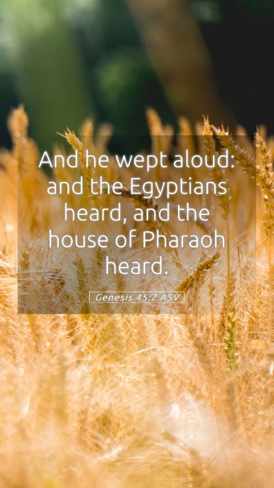 Picture 05 - Genesis 45:2 ASV Mobile Phone Wallpaper - And he wept aloud: and the Egyptians heard, and - Mobile Bible Verse Wallpaper