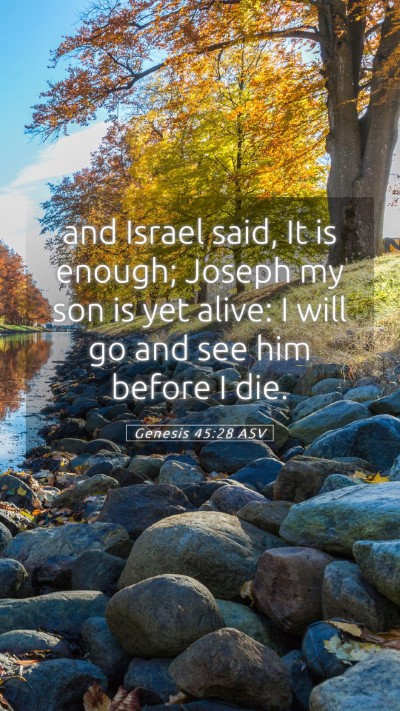 Picture 05 - Genesis 45:28 ASV Mobile Phone Wallpaper - and Israel said, It is enough; Joseph my son is - Mobile Bible Verse Wallpaper