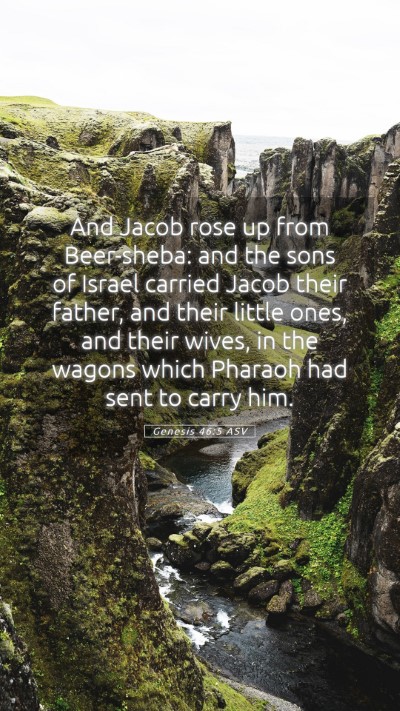 Picture 05 - Genesis 46:5 ASV Mobile Phone Wallpaper - And Jacob rose up from Beer-sheba: and the sons - Mobile Bible Verse Wallpaper