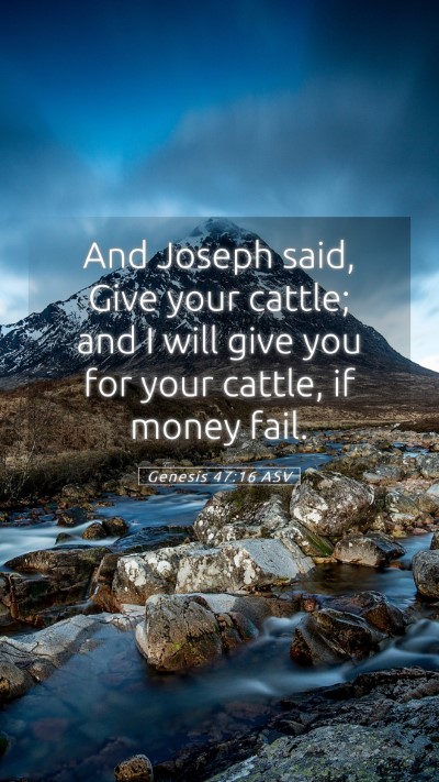 Picture 05 - Genesis 47:16 ASV Mobile Phone Wallpaper - And Joseph said, Give your cattle; and I will - Mobile Bible Verse Wallpaper