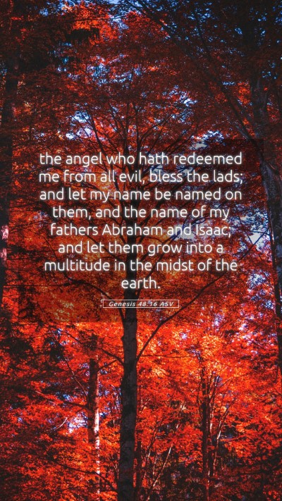 Picture 05 - Genesis 48:16 ASV Mobile Phone Wallpaper - the angel who hath redeemed me from all evil, - Mobile Bible Verse Wallpaper