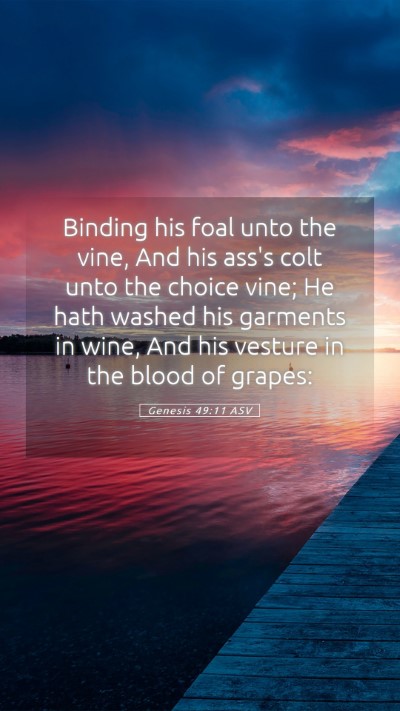 Picture 05 - Genesis 49:11 ASV Mobile Phone Wallpaper - Binding his foal unto the vine, And his ass's - Mobile Bible Verse Wallpaper