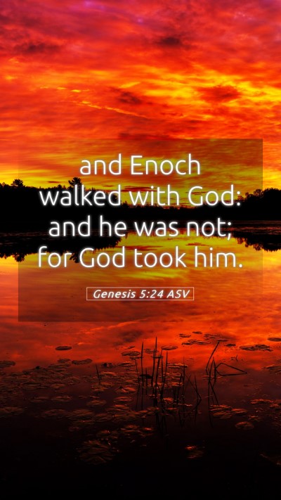 Picture 05 - Genesis 5:24 ASV Mobile Phone Wallpaper - and Enoch walked with God: and he was not; for - Mobile Bible Verse Wallpaper