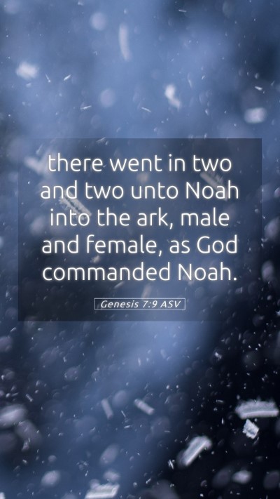 Picture 05 - Genesis 7:9 ASV Mobile Phone Wallpaper - there went in two and two unto Noah into the ark, - Mobile Bible Verse Wallpaper