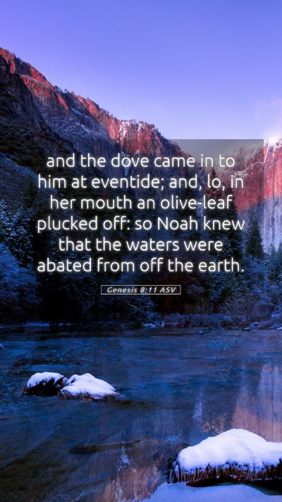 Picture 05 - Genesis 8:11 ASV Mobile Phone Wallpaper - and the dove came in to him at eventide; and, lo, - Mobile Bible Verse Wallpaper