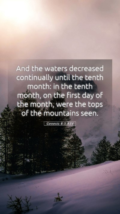 Picture 05 - Genesis 8:5 ASV Mobile Phone Wallpaper - And the waters decreased continually until the - Mobile Bible Verse Wallpaper