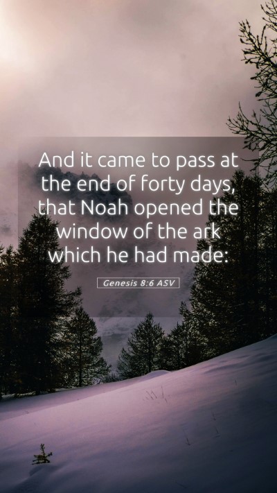 Picture 05 - Genesis 8:6 ASV Mobile Phone Wallpaper - And it came to pass at the end of forty days, - Mobile Bible Verse Wallpaper