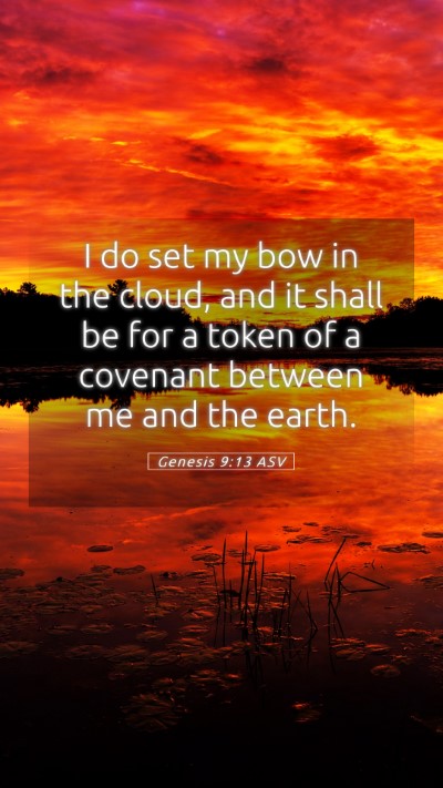 Picture 05 - Genesis 9:13 ASV Mobile Phone Wallpaper - I do set my bow in the cloud, and it shall be for - Mobile Bible Verse Wallpaper