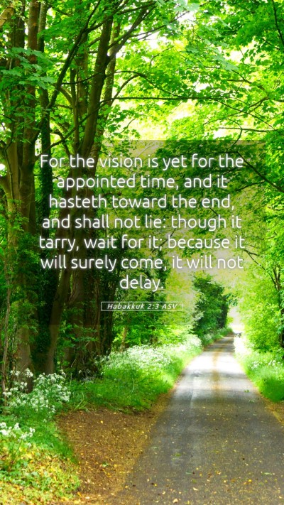 Picture 05 - Habakkuk 2:3 ASV Mobile Phone Wallpaper - For the vision is yet for the appointed time, and - Mobile Bible Verse Wallpaper