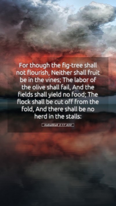 Picture 05 - Habakkuk 3:17 ASV Mobile Phone Wallpaper - For though the fig-tree shall not flourish, - Mobile Bible Verse Wallpaper