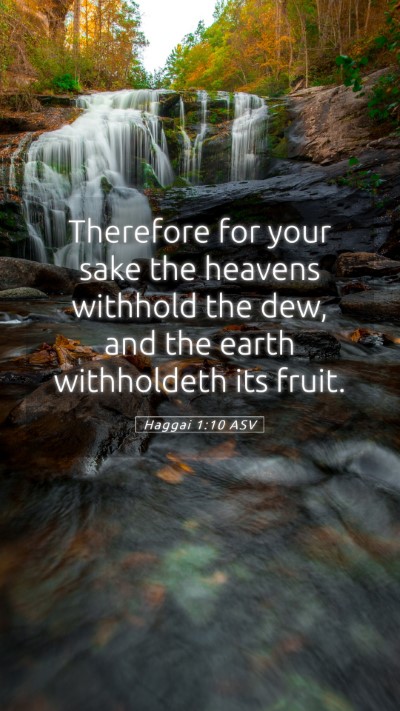 Picture 05 - Haggai 1:10 ASV Mobile Phone Wallpaper - Therefore for your sake the heavens withhold the - Mobile Bible Verse Wallpaper
