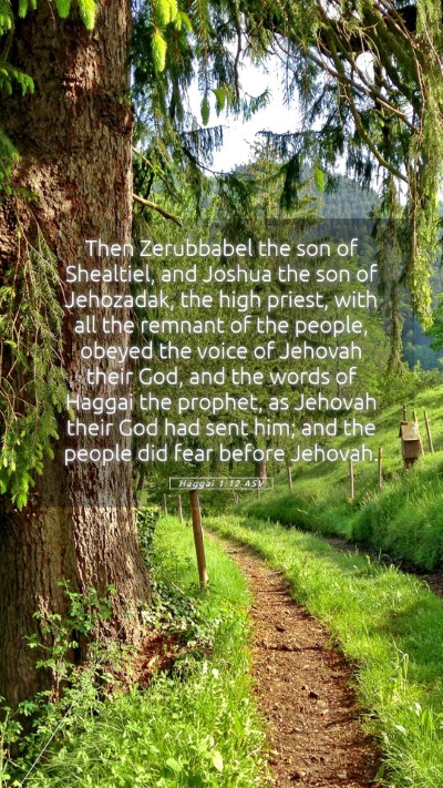 Picture 05 - Haggai 1:12 ASV Mobile Phone Wallpaper - Then Zerubbabel the son of Shealtiel, and Joshua - Mobile Bible Verse Wallpaper