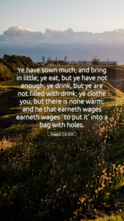 Picture 05 - Haggai 1:6 ASV Mobile Phone Wallpaper - Ye have sown much, and bring in little; ye eat, - Mobile Bible Verse Wallpaper