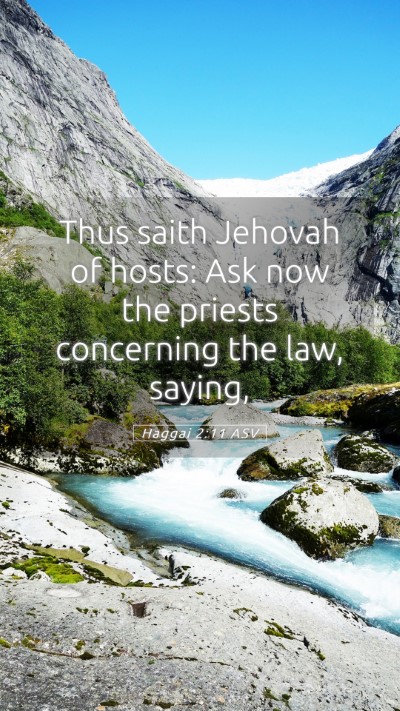 Picture 05 - Haggai 2:11 ASV Mobile Phone Wallpaper - Thus saith Jehovah of hosts: Ask now the priests - Mobile Bible Verse Wallpaper