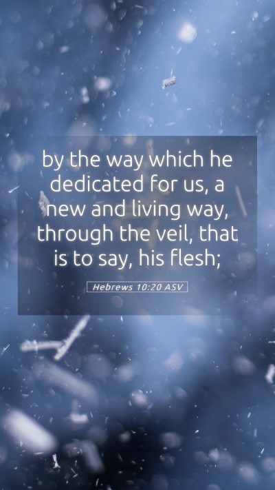 Picture 05 - Hebrews 10:20 ASV Mobile Phone Wallpaper - by the way which he dedicated for us, a new and - Mobile Bible Verse Wallpaper