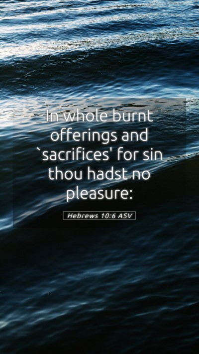 Picture 05 - Hebrews 10:6 ASV Mobile Phone Wallpaper - In whole burnt offerings and `sacrifices' for sin - Mobile Bible Verse Wallpaper